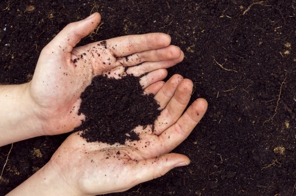 Fertilizante orgánico y compost para suelos